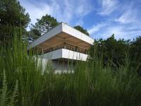 Olivier POGGIANTI - OLIVIER POGGIANTI