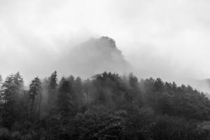 Thibaud GURY - CIMES&CINEMA