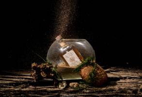 Lionel ROBERTIN - LIONELITO PICS